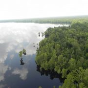 00-20170313_Virginia_GreatDismalSwamp_Paddling