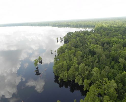 00-20170313_Virginia_GreatDismalSwamp_Paddling