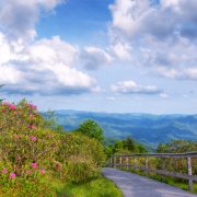 Waterrock Knob