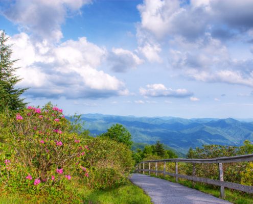 Waterrock Knob