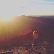 A vista in Mt. Mitchell State Park.