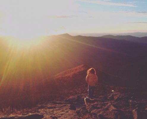 A vista in Mt. Mitchell State Park.