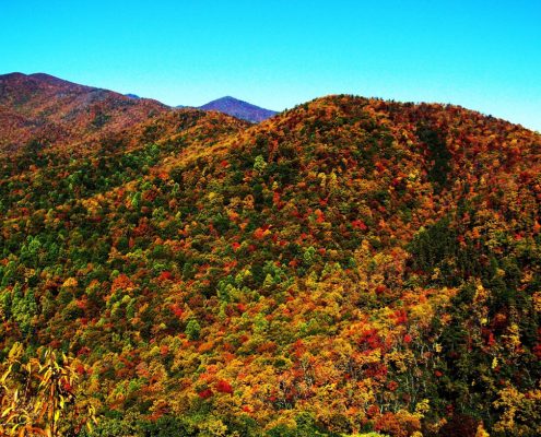 2014_09_asheville-fall-festivals-feature.jpg