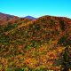 2014_09_asheville-fall-festivals-feature.jpg