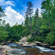 DuPont State Forest