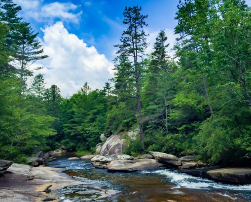 DuPont State Forest