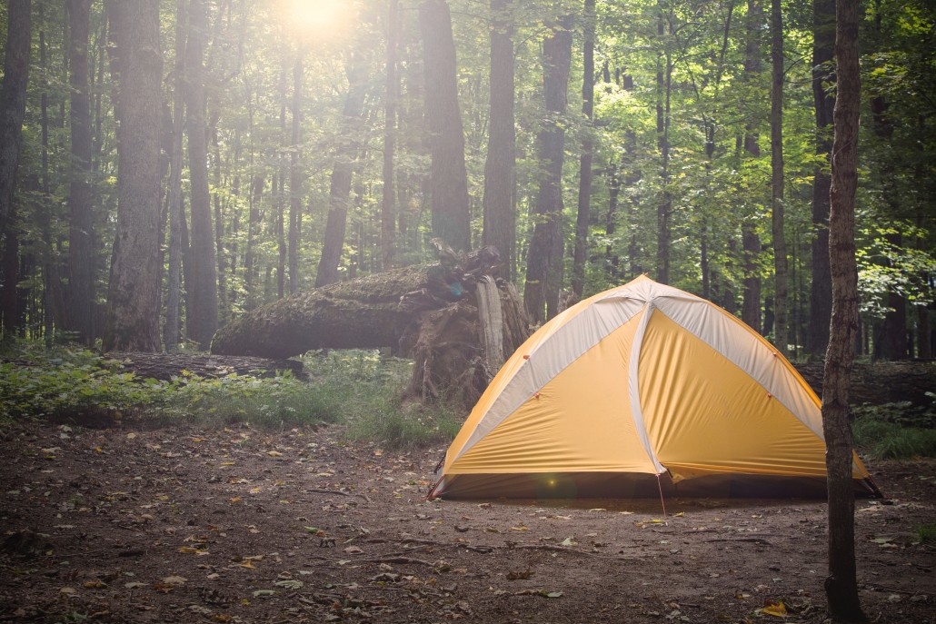 orange tent in the forest