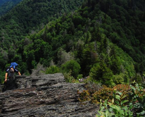 Chimney Tops