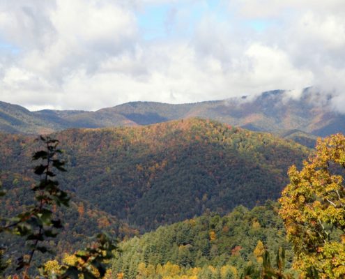 Image for Cataloochee Ski Area