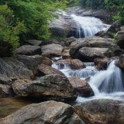 Image for Graveyard Fields