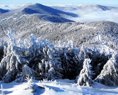 mount mitchell winter 3