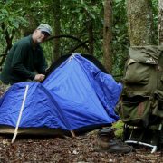 Image for Cataloochee Campground